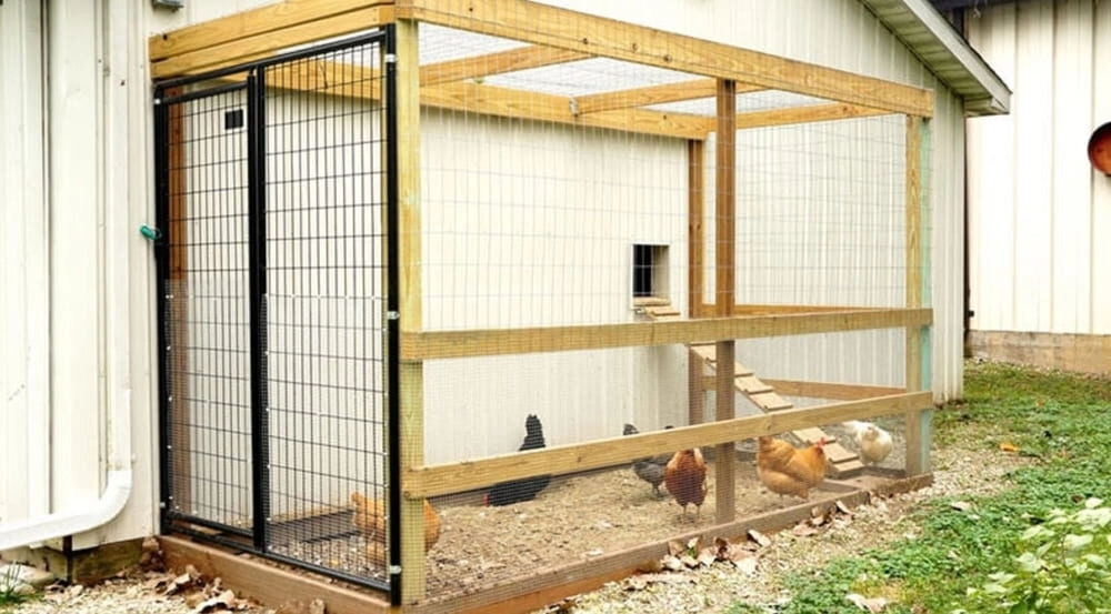 Cách làm chuồng gà đá bằng lưới thép b40