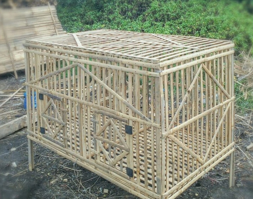 Hướng dẫn xây dựng chuồng gà đá từ tre